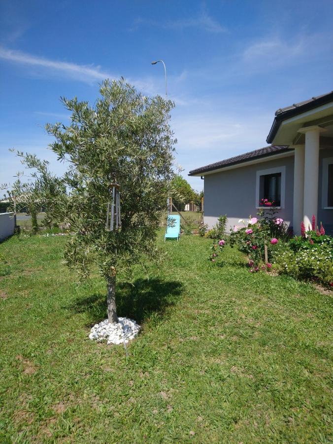 Le Bonheur A Portee De Mains Bergerac Exterior foto