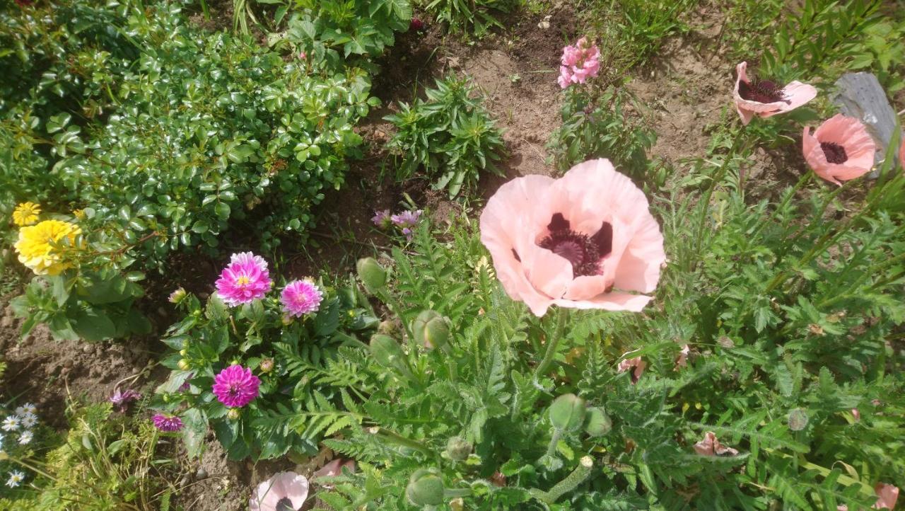 Le Bonheur A Portee De Mains Bergerac Exterior foto